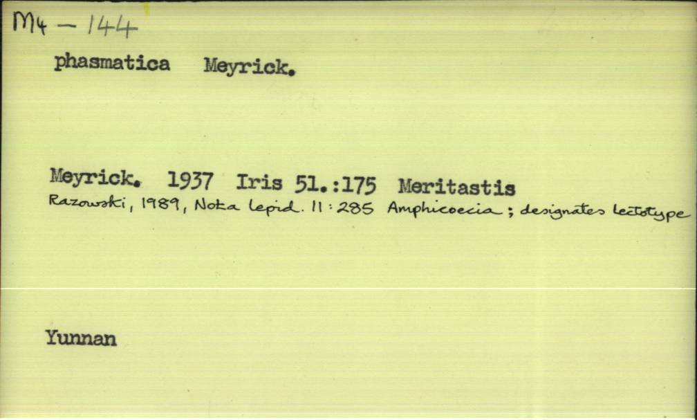 front of card